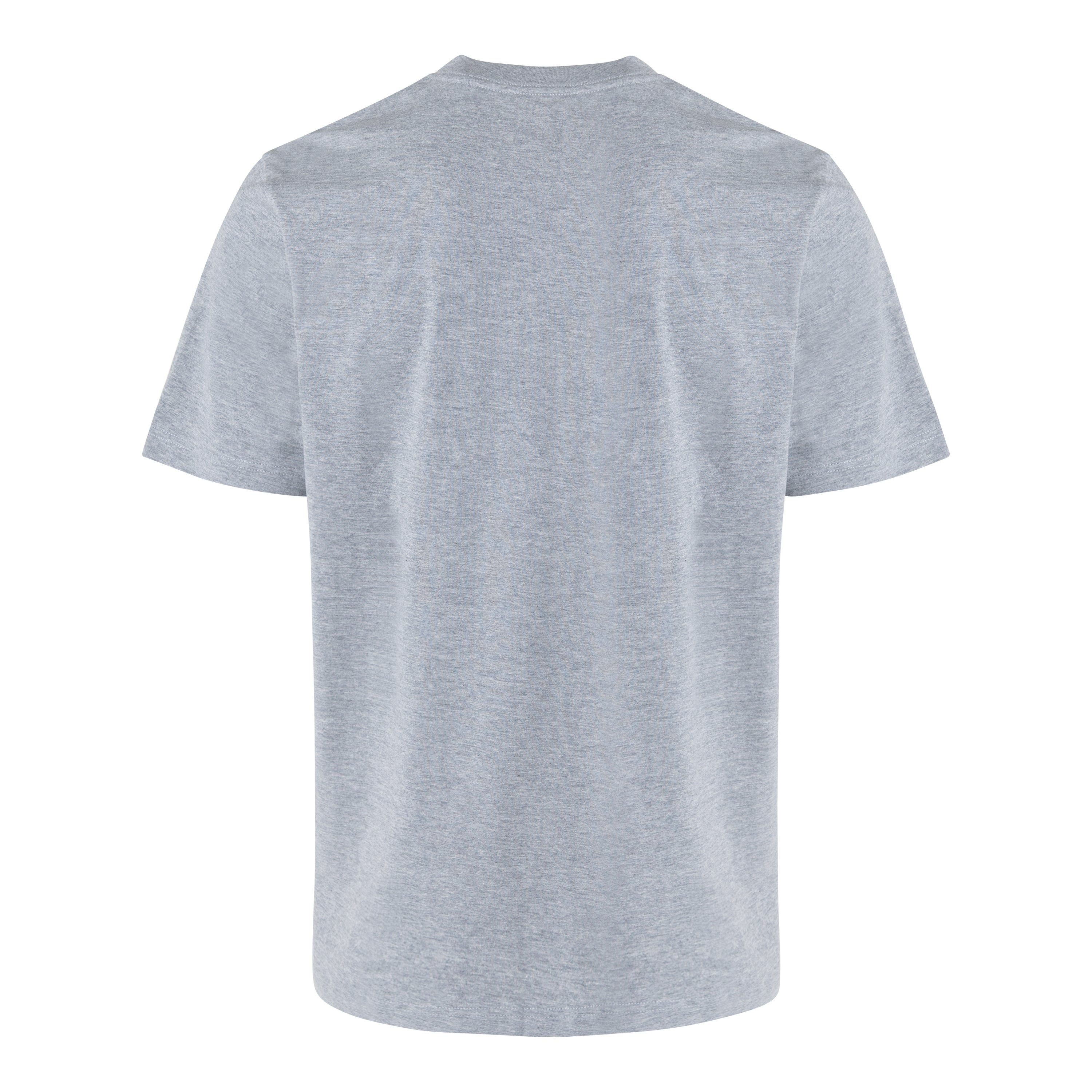 Everlast™ Men's T-Shirt - Grey Back